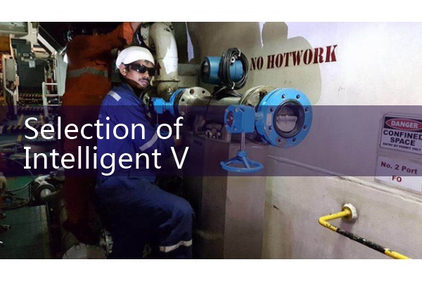 How much is a steam vortex flowmeter